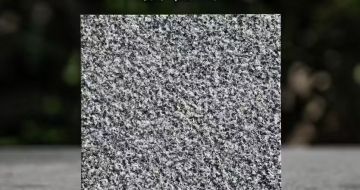 淮南 芝麻黑荔枝面