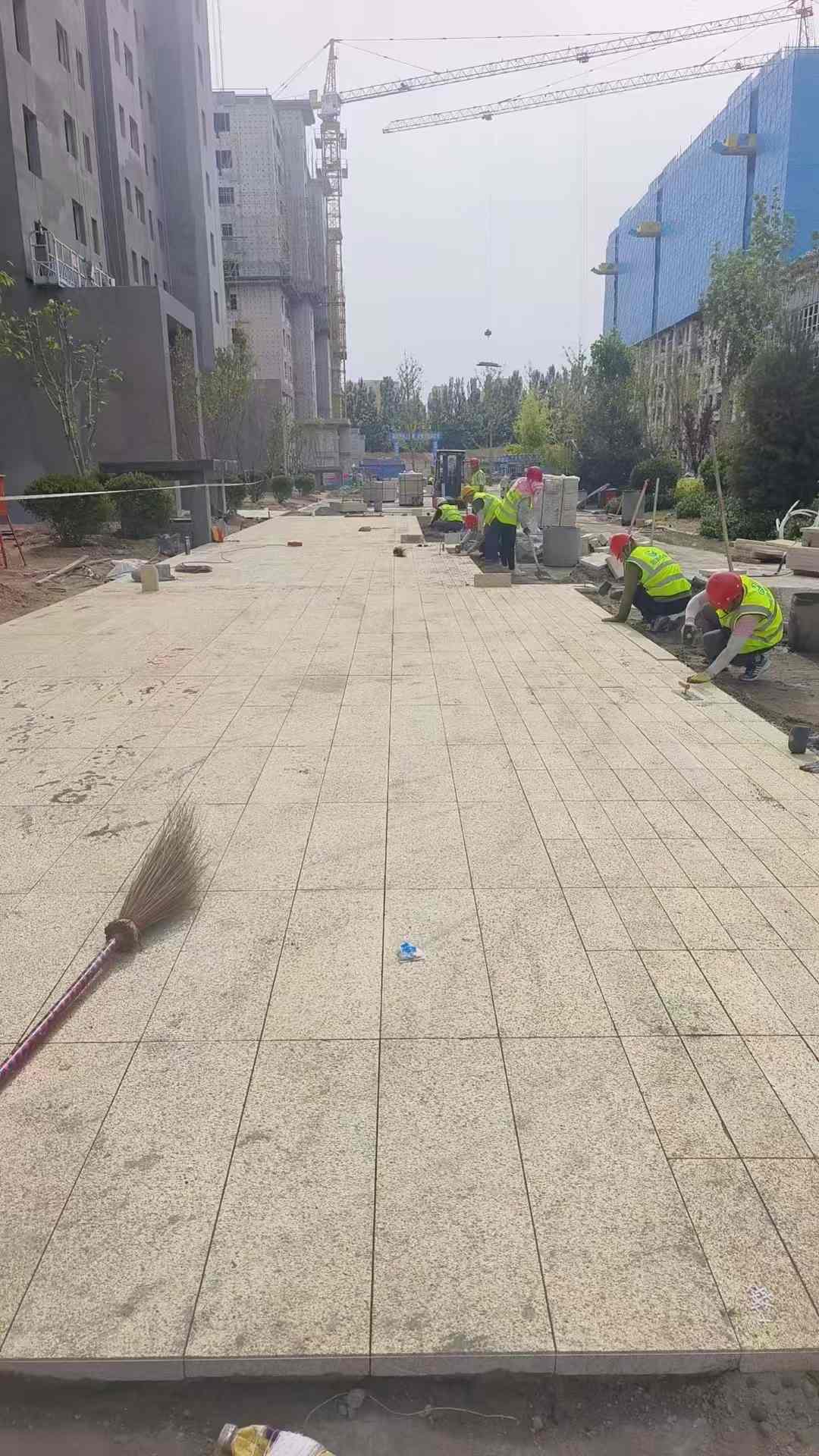 淮南黄金麻荔枝面地铺案例