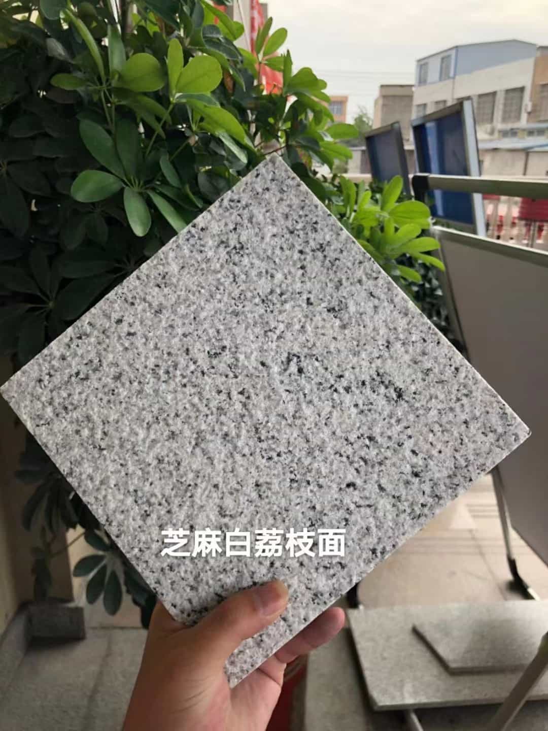 淮南 芝麻白荔枝面干挂