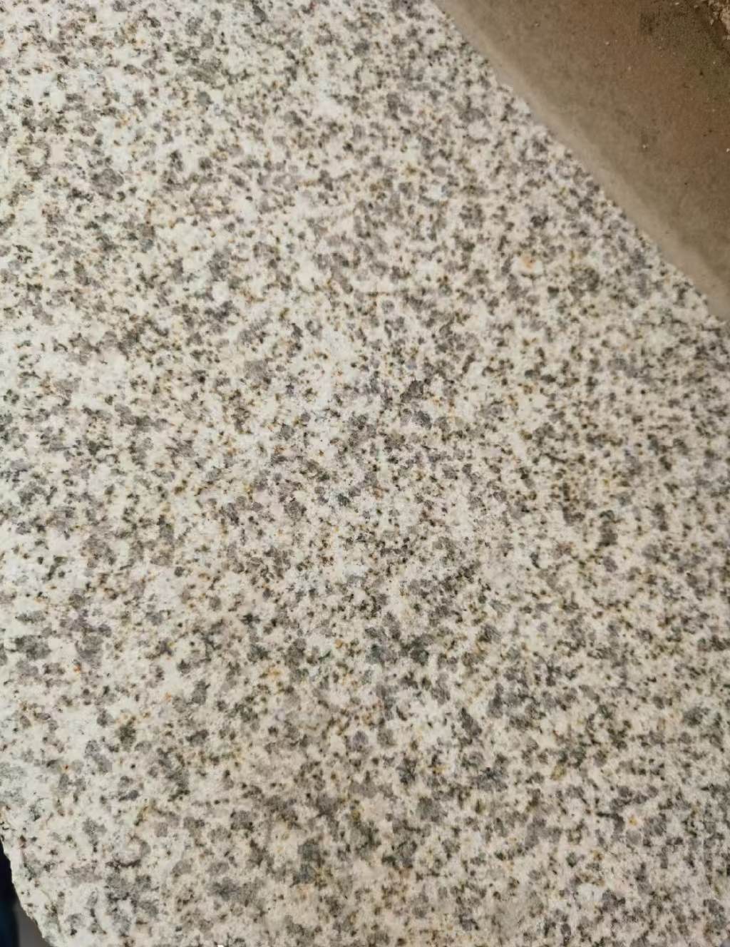 淮南 黄金麻中黄光面